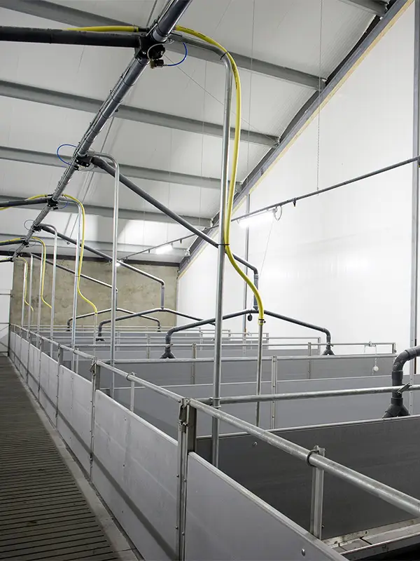 Bouwplast plus panelen in stal
