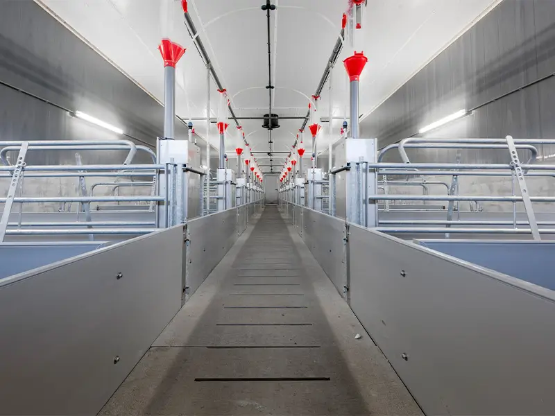 Kunststof panelen van Bouwimpex in varkensstal