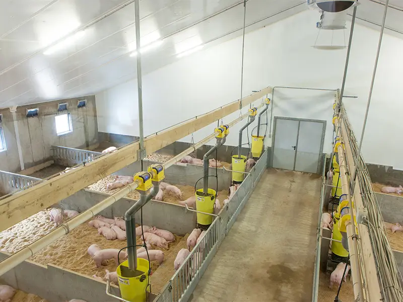 Dartelstal met kunststof wandpanelen Bouwplast-plus