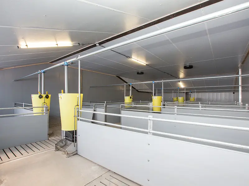 Kunststof hokafscheiding van Bouwplast HP-V panelen in zeugenstal