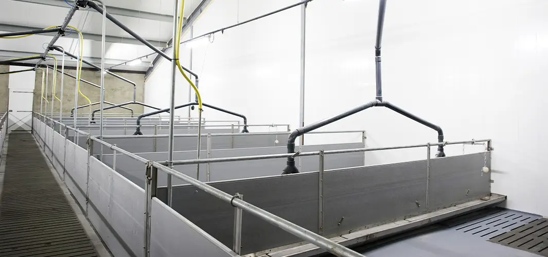 stal met kunststof panelen